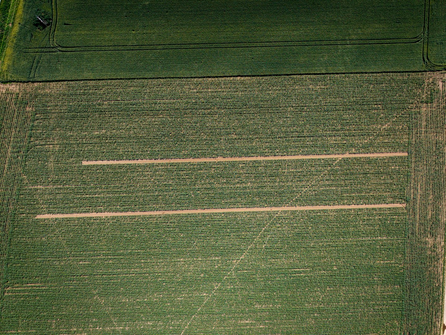 Vue aérienne de vastes champs agricoles aux motifs variés.