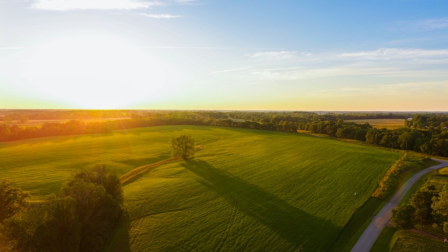 Vaste plaine agricole verdoyante avec un arbre isolé et une route sinueuse.