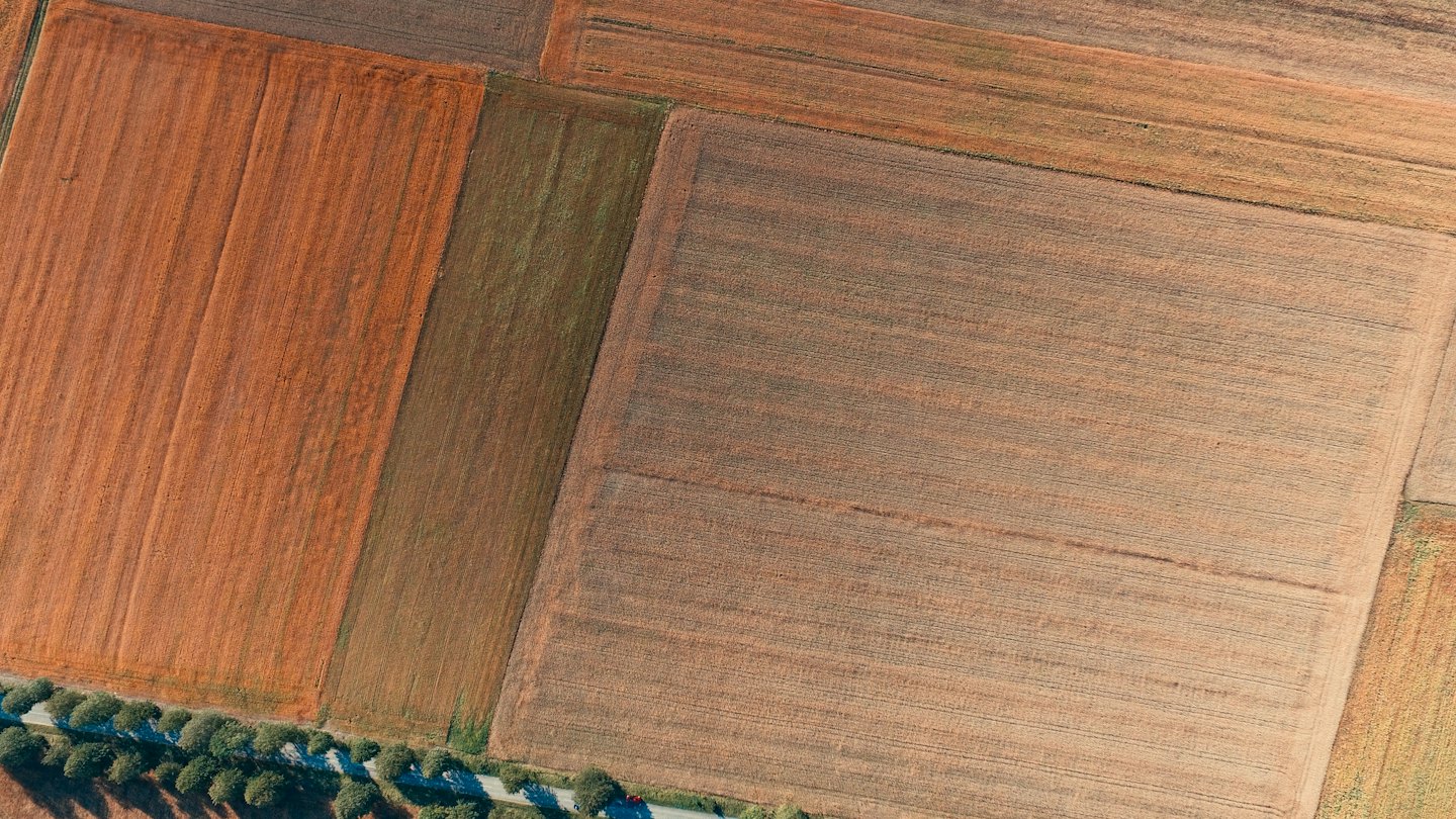 Champs agricoles géométriques divisés par des chemins et une route sinueuse.